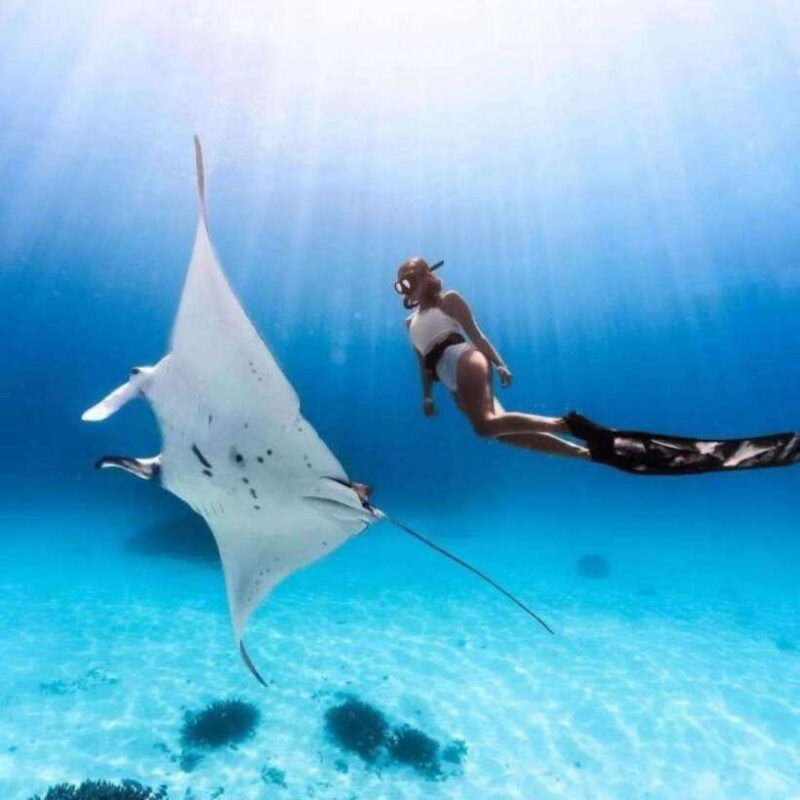 bali-nusa-penida-manta-snorkeling-tour-beach-club-access