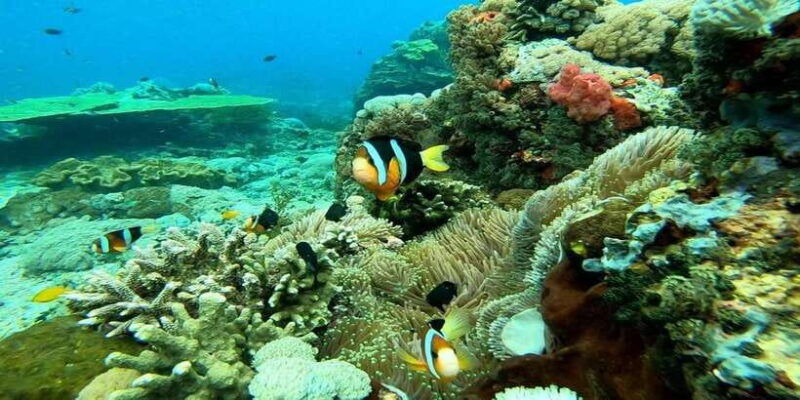 bali-nusa-penida-snorkeling-adventure-and-island-tour