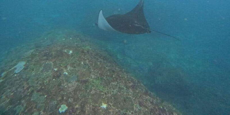 bali-nusa-penida-tour-with-lunch-manta-point-snorkeling
