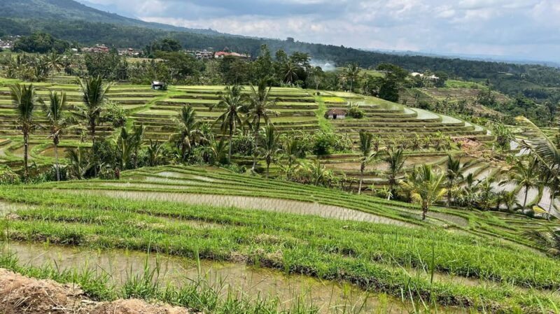 bali-private-tour-highlights-of-bali-with-driver