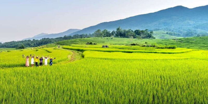 bali-rice-terraces-guided-hiking-experience
