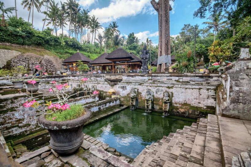 bali-rice-terraces-mount-batur-geopark-and-more-day-tour