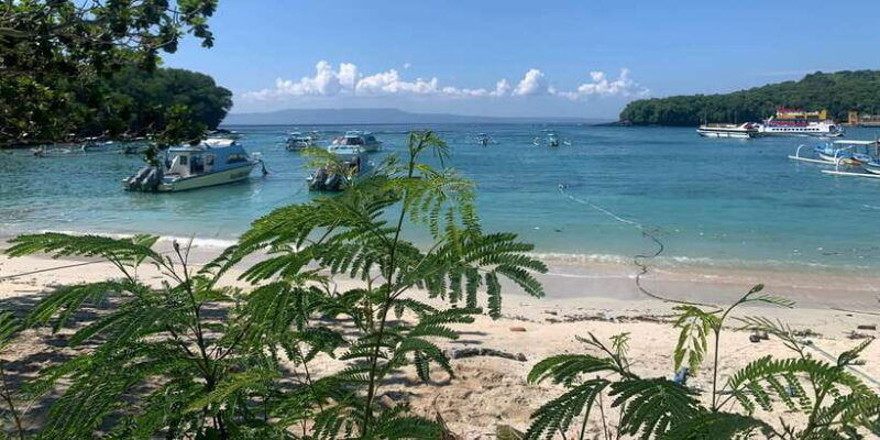 bali-snorkeling-on-2-spots-with-lunch-and-transport