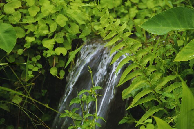 Bali Spiritual: Blessing Ceremony, Pristine Nature and Transfer - Who Would Love This Tour?