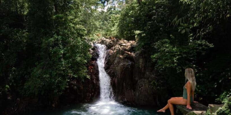 bali-swimming-with-dolphin-waterfal-tour-all-inclusive