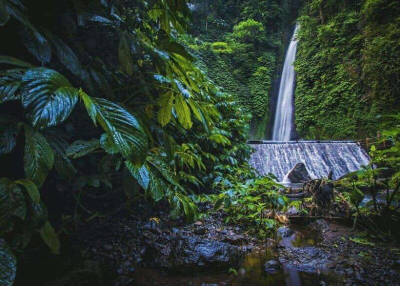 bali-top-highlights-private-full-day-tour-from-hotel