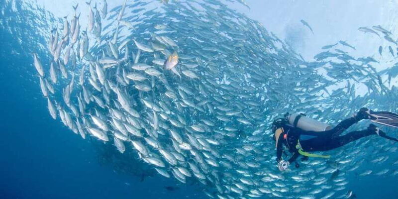 bali-tulamben-bay-and-the-usat-liberty-wreck-dive