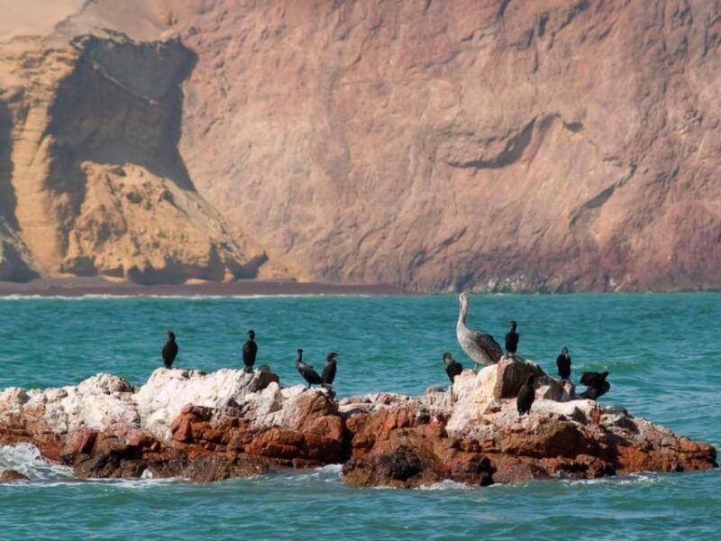 ballestas-islands-full-day