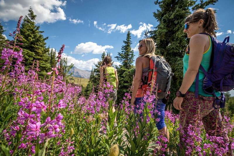 banff-edible-and-medicinal-plants-nature-walk