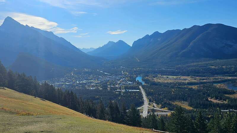banff-evening-wildlife-safari-guided-tour