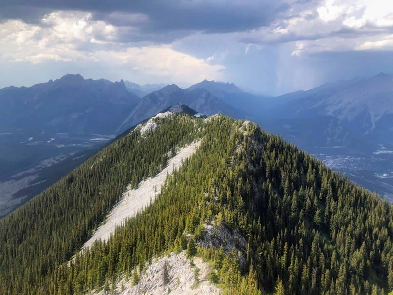 banff-sulphur-mountain-highline-guided-hike