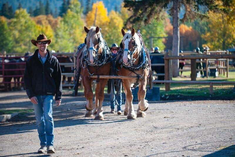 banff-wagon-ride-with-cowboy-cookout-bbq