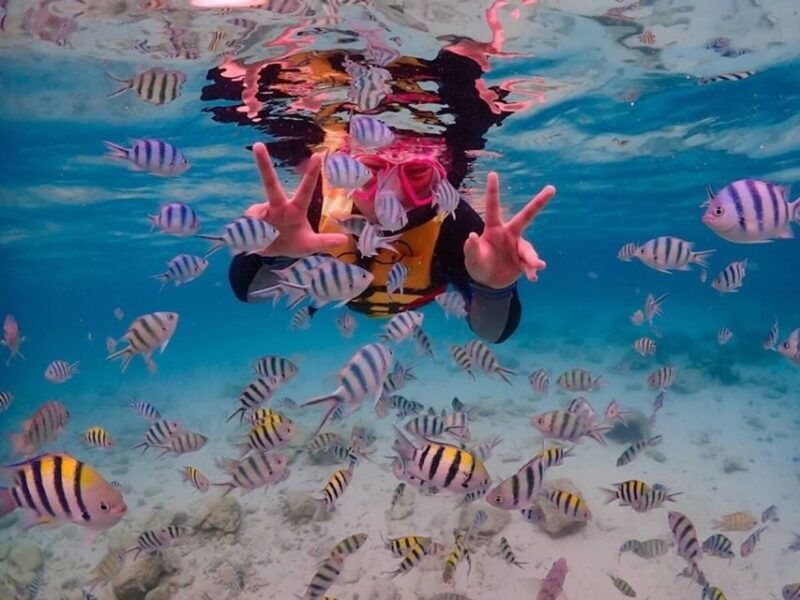 bangkok-nemo-island-day-trip-with-drone-photos-and-lunch