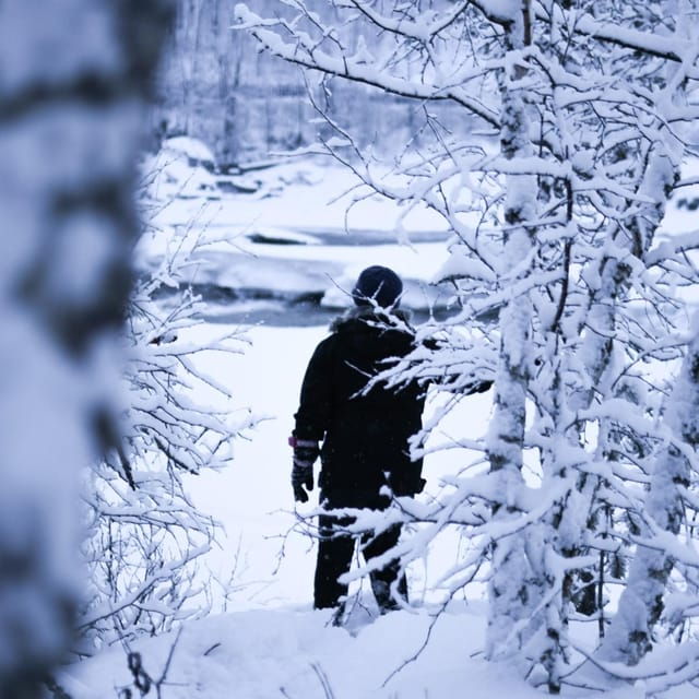 bardufoss-snowshoe-hike-to-norways-national-waterfalls