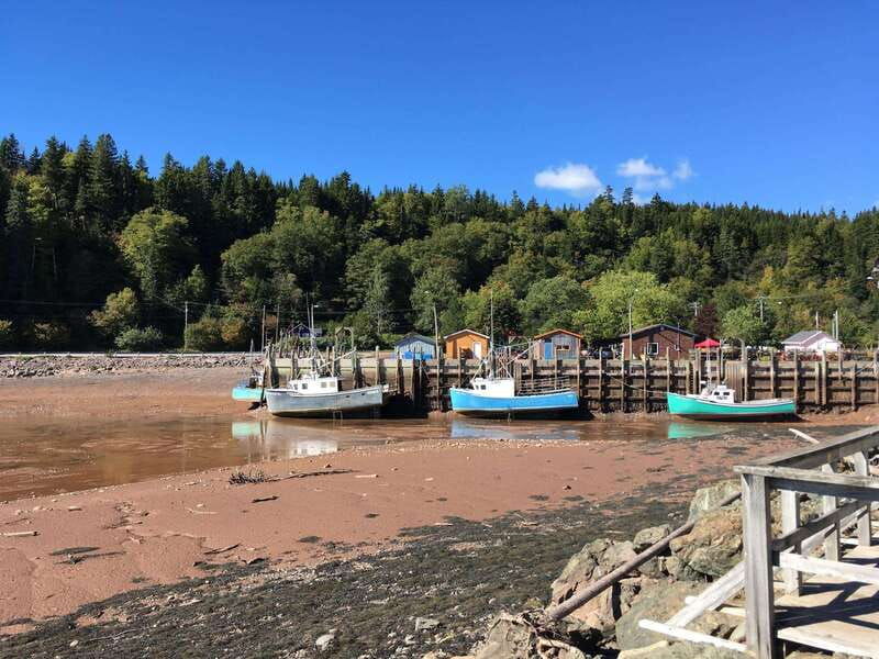 bay-of-fundy-tour-by-mini-van
