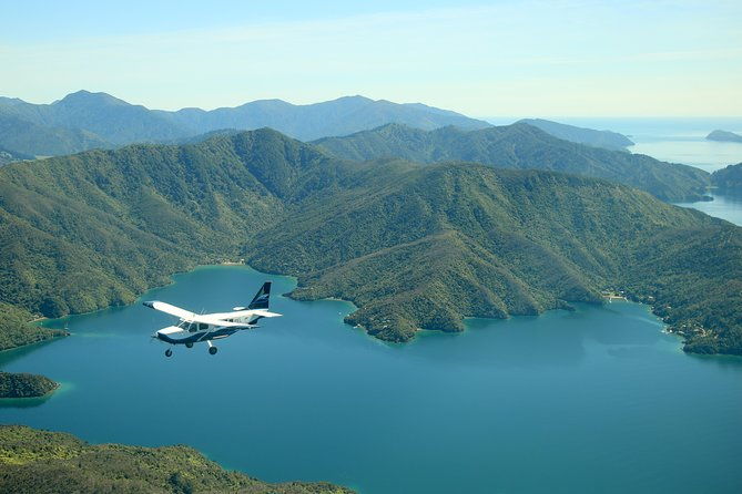 Bays and Bush Flight Scenic Tour - Practical Details: What You Need to Know
