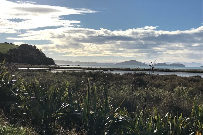 Beautiful Pohutukawa Coast - Half Day Private Tour - Transportation & Practical Details  