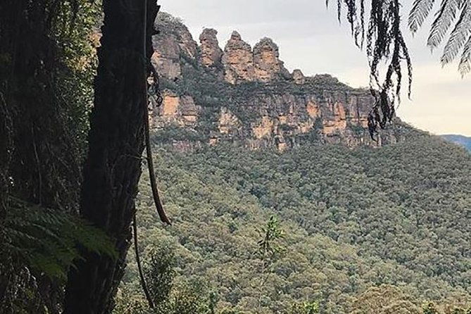 Beauty of the Blue Mountains Private Tour - FAQ