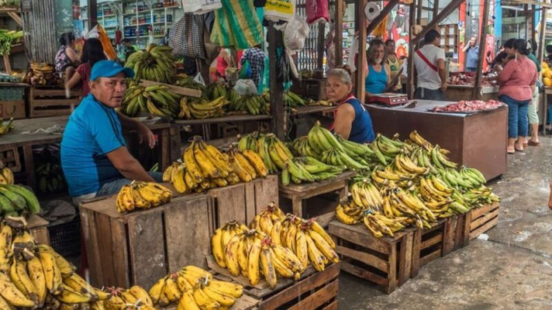 belen-market-floating-amazon-village-tour