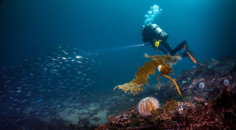 bergen-guided-scuba-diving