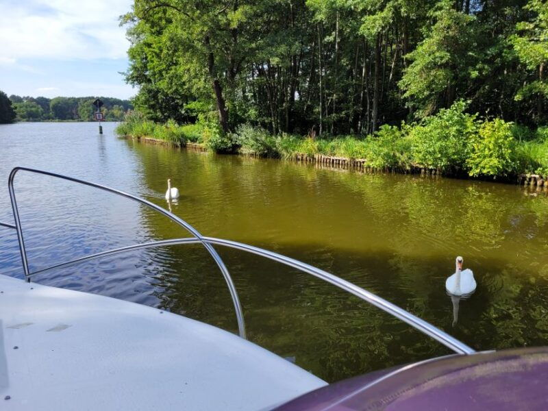 berlinguided-south-berlin-yacht-tour-with-swim-stop-relax