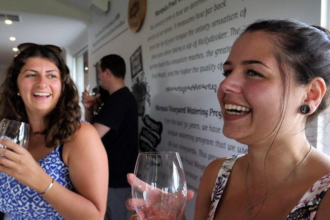 Best of McLaren Vale: E-bike and Wine Tour (2 options available) - Who Is This Tour Best For?