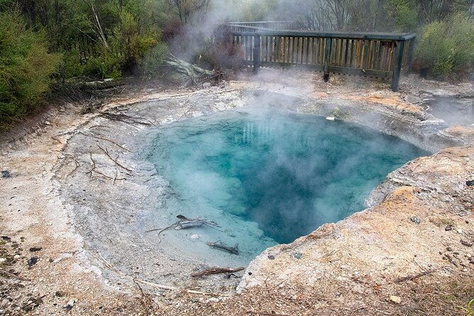 Best of Tauranga & Rotorua's Hidden Secrets - Shore Excursion - Who Should Consider This Tour?