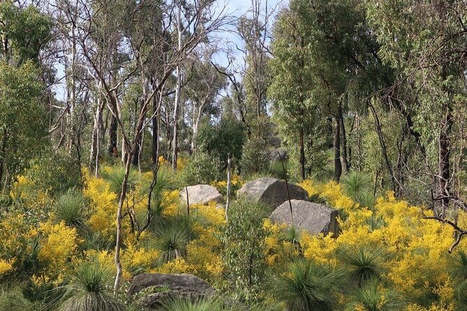 Bibbulmun Track Multi-Day Hike and Camp to the Darling Range - FAQ