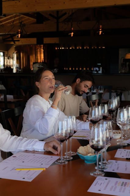 blind-wine-tasting