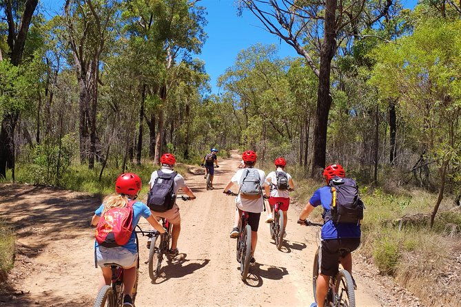 Blue Labyrinth PRIVATE Tour: Sydney Blue Mountains by E-Bike - The Sum Up