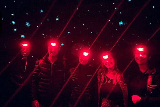 Blue Mountains Day, Sunset Tour & Glow Worms Night Adventure - Who Should Consider This Tour?