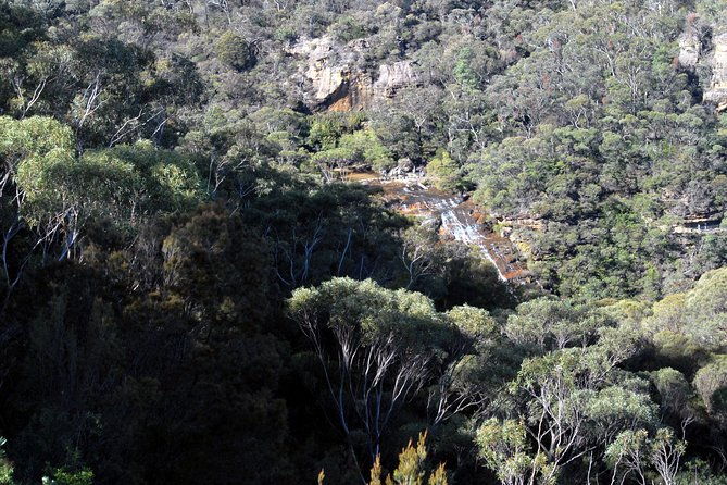 Blue Mountains Highlights & Featherdale Wildlife Park - The Sum Up