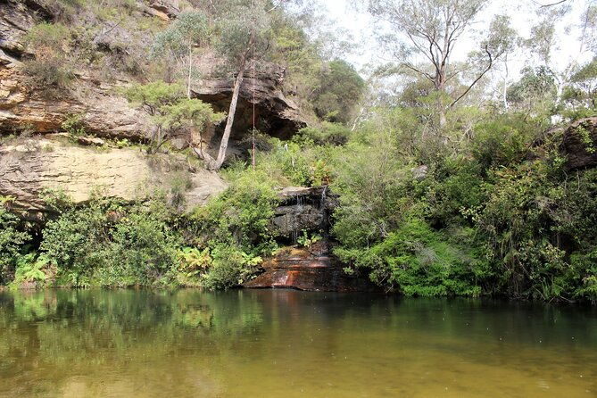 Blue Mountains Private Tour - Final Thoughts