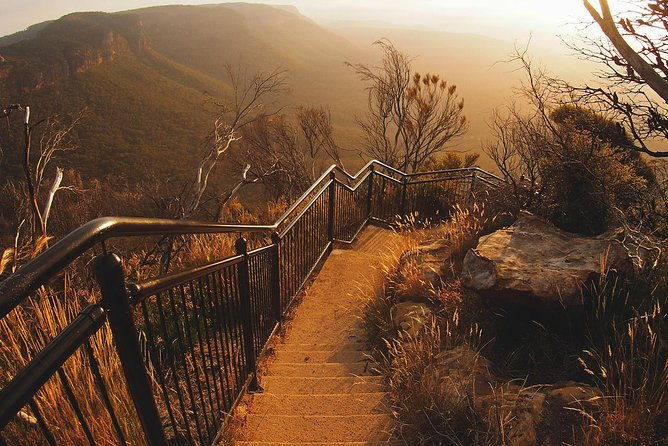 Blue Mountains Vintage Cadillac Tour with Local Guide - What Reviewers Say