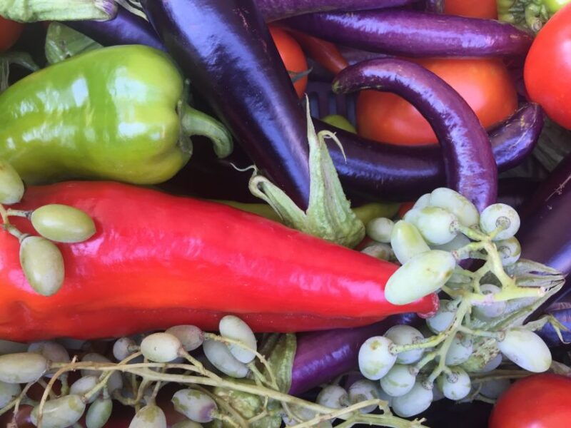 bodrum-market-visit-and-cooking-class