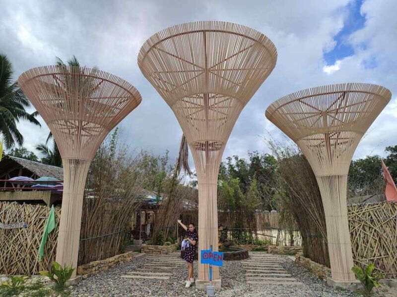 bohol-choco-tour-tarsiers-with-lunch