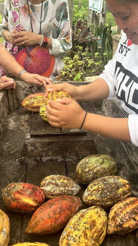 bohol-chocolate-making-and-farm-tour