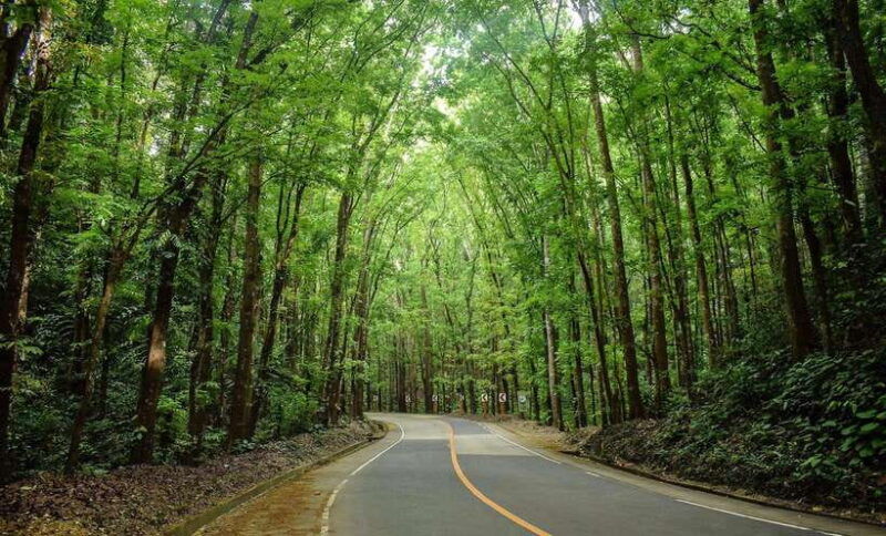 bohol-countryside-tour