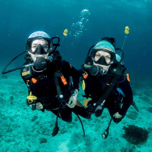bohol-pamilacan-island-fun-dive-experience