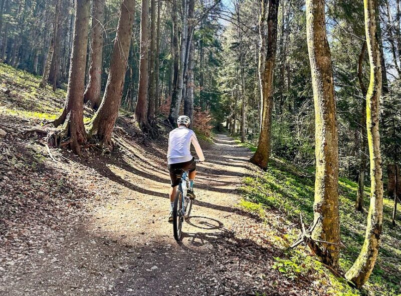 brasov-e-bike-tour-to-poiana-brasov-old-town-forest