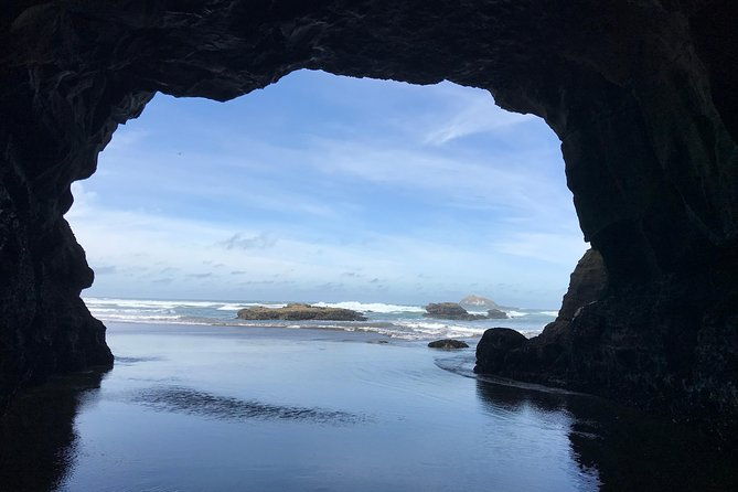 Breathtaking west coast, rainforest, beach and boobies - German private tour - Value for Money