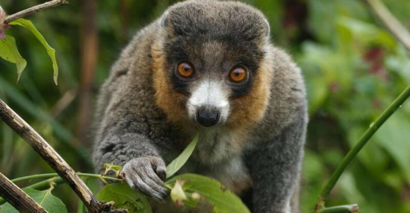 bristol-bristol-zoo-project-entry-ticket