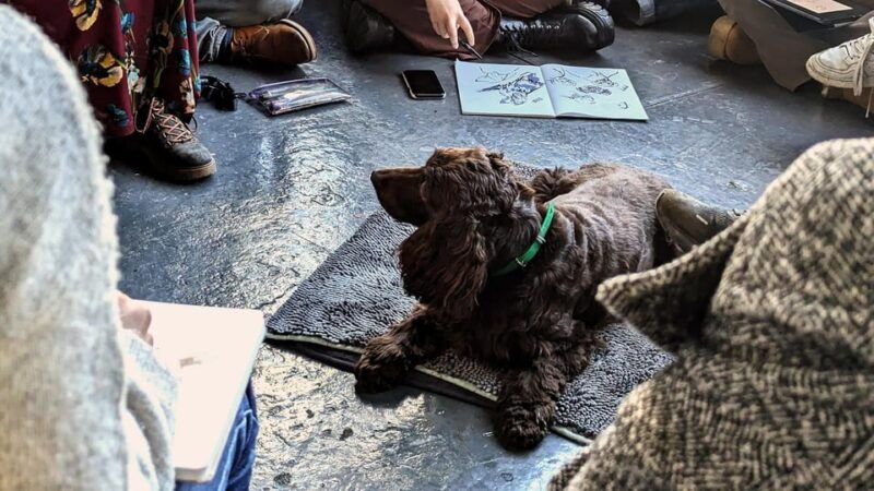 bristol-dog-life-drawing-led-by-local-artist-cai-burton