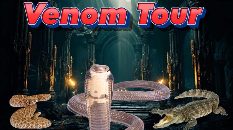 bristol-venomous-snake-tour-with-reptile-photo