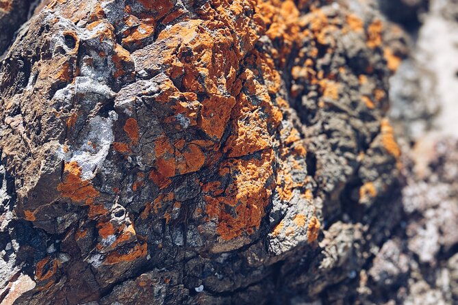 Broken Head Aboriginal Tour - Authentic Stories and Genuine Praise