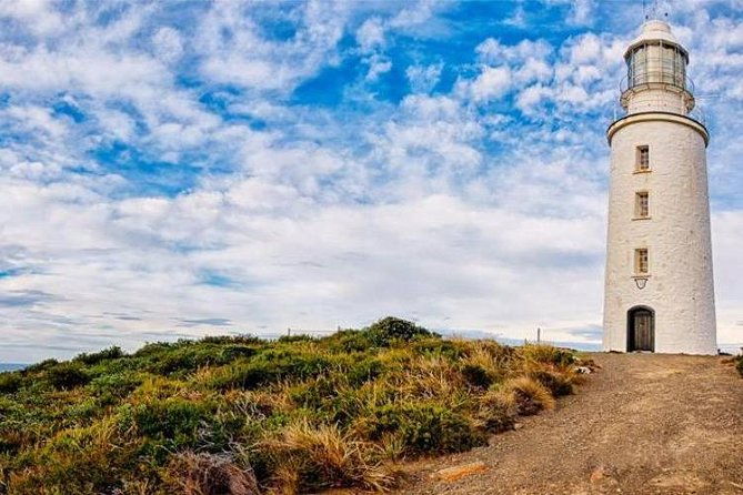 Bruny Island Day Tour Private Charter Service - What Reviewers Say