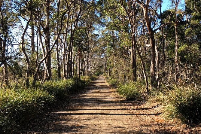 Bruny Island Nature and Tasting Active Day Tour - Final Thoughts
