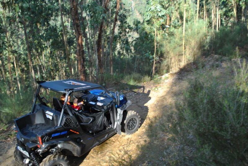 buggy-experiences