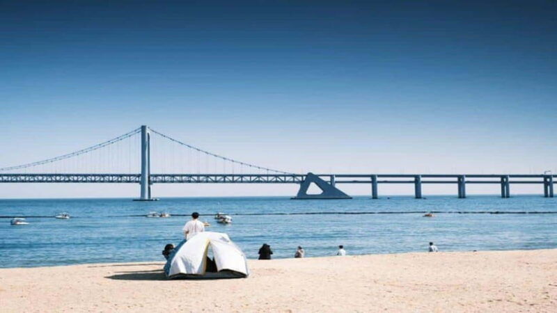 busan-jagalchi-market-gamcheon-village-walking-tour
