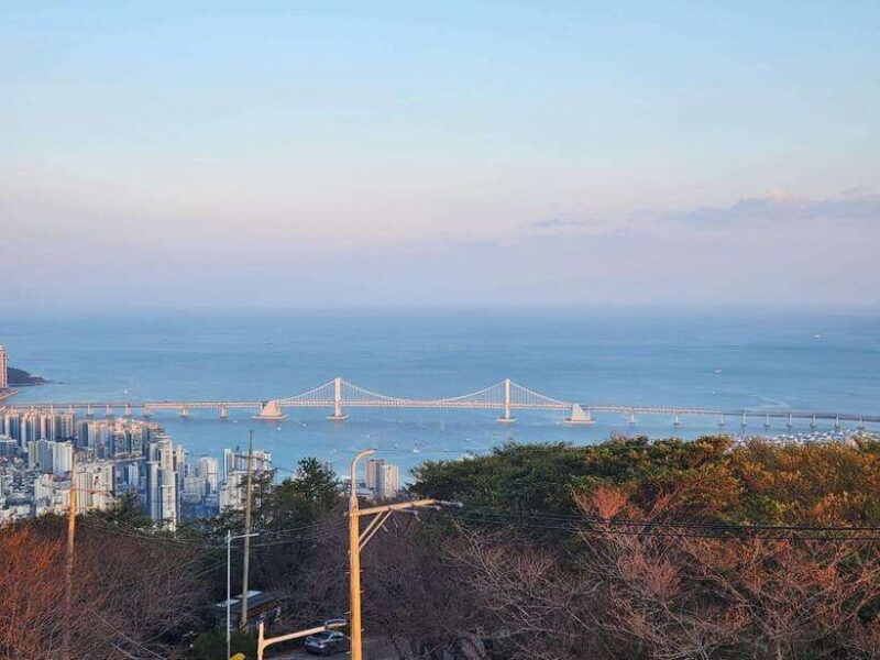 busan-night-view-tour-yacht-hwangnyeongsan-mountain